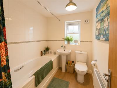 Picture 11